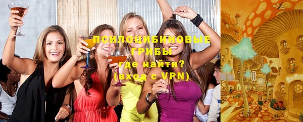 гидра Лиски