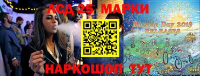 мдпв Кингисепп