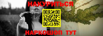 мдпв Кингисепп