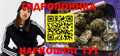 мдпв Кингисепп