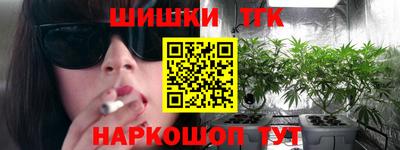 мдпв Кингисепп