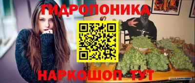 мдпв Кингисепп