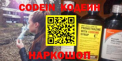 мдпв Кингисепп