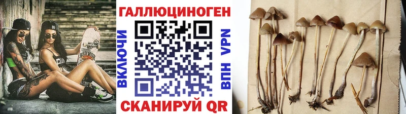 Галлюциногенные грибы мухоморы  сколько стоит  MEGA ссылка  Новоалтайск 